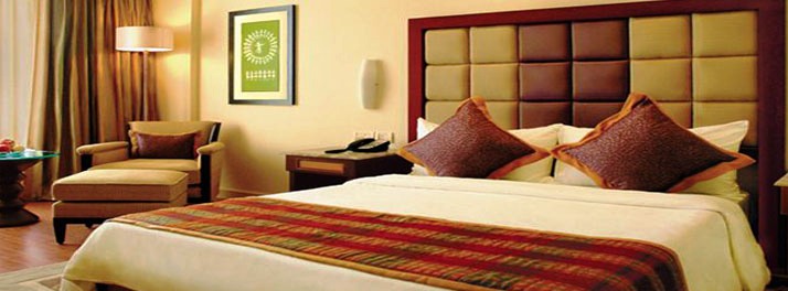 526/Vivanta by Taj Blue Diamond - Pune 13.jpg